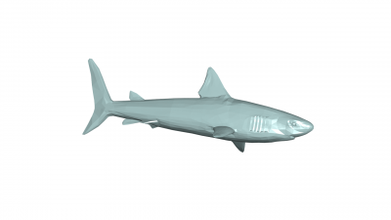 requin 3d modèle 3D impression fichier imprimable conception 3d print model - Mito3D