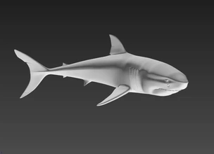 Köpekbalığı 3d baskı model üçleme yırtıcı oyuncak minyatür dekor 3dmodel 3dprint Deniz yaratığı 3d print model - Mito3D