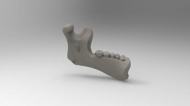 basitleştirilmiş yarı insan mandibula modeli bilim 3D baskı modeli, dosya, yazdırılabilir model, tasarım, 3 boyutlu baskı, anatomi, bilim, insan, basit 3d print model - Mito3D