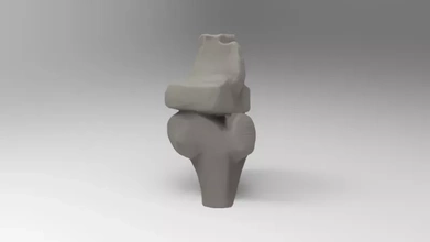 simplifié modèle genoux 3d impression trio anatomie science Humain OS 3d print model - Mito3D