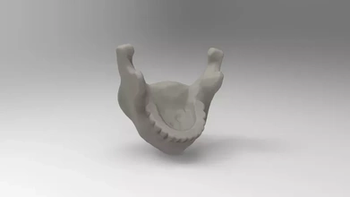 simplified model mandible 3d printing - threeding anatomy skull science human bone 3d print model - Mito3D