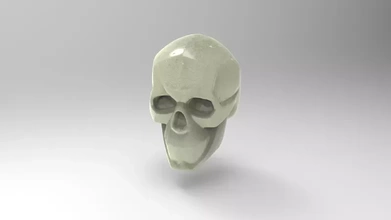 semplificato modello teschi 3d stampa treding anatomia umano ossatura 3d print model - Mito3D