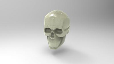 simplified model skulls science 3D printing model, file, printable design, 3d print, simplified, skulls, anatomy, human, bones 3d print model - Mito3D