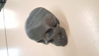 skull other things 3D printing model, file, printable design, 3d print, Skull, office, decoration, 3D, print 3d print model - Mito3D