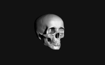 cranio natura La stampa 3D, modello, file di 3D stampabile la progettazione, 3d, il 3d print model - Mito3D