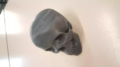 skull 3d printing model - threeding decoration office print 3d print model - Mito3D