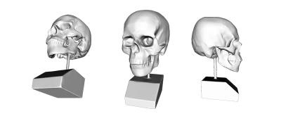 skull 3d printing art 3D printing model, 3D printing file, 3D printable model, 3D printing design, 3d print, sculpture skull