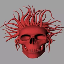 skull hair 3d printing model - threeding 3d print model - Mito3D