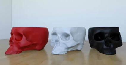 cranio vaso 3d stampa modello treding pentola pianta ufficio arredamento 3dmodel 3dprint 3dp interni 3d print model - Mito3D
