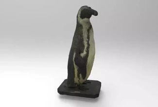 spheniskus humboldti Humboldt Pinguin 3d Drucken Modell dreiding Vogel Tier 3d print model - Mito3D