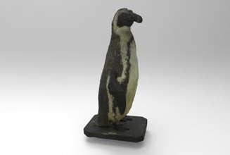 spheniscus humboldti humboldt-Pinguin Natur 3D-Druck-Modell, 3D-Druck-Datei, 3D-druckbares Modell, 3D-Druck, design, 3d-drucken, Spheniscus, humboldti, Humboldt-Pinguin, Tier, Vogel 3d print model - Mito3D