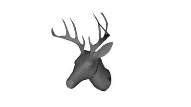 stags head nature 3D printing model, file, printable design, 3d print, stags, head, trophy, animal, hunt, deer 3d print model - Mito3D