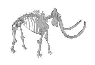 estepe mamute esqueleto 3d impressão modelo trio 3d print model - Mito3D