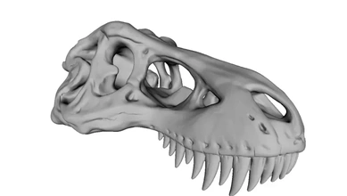 t-rex skull 3d printing model - threeding tyrannosaurus 3d print model - Mito3D