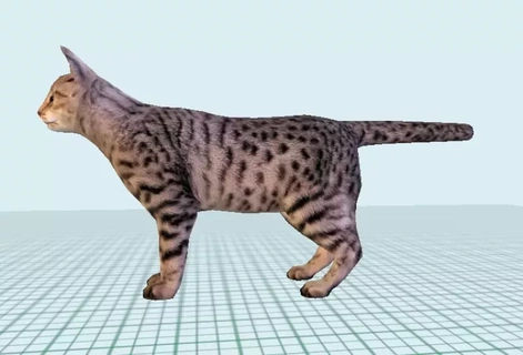 malhado gato 3d impressão modelo animal desenho animado 3d print model - Mito3D