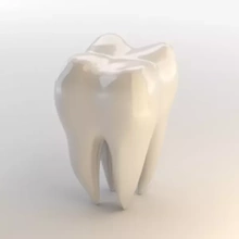 dent 3d impression modèle trio anatomie Humain visage bouche dents printing dentaire imprimable corps dentiste gencive gymnases 3d print model - Mito3D