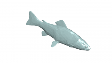 trout 3d model 3D printing model, file, printable design, print, TROUT 3d print model - Mito3D