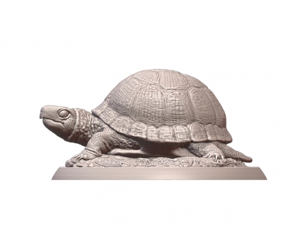la tortue art 3D modèle d'impression, l'impression fichier, imprimable modèle, en de conception, d'impression 3d, animaux，tortue，Tortue，de belles，sculpture，intéressant，drôle，animal compagnie 3D print model - Mito3D