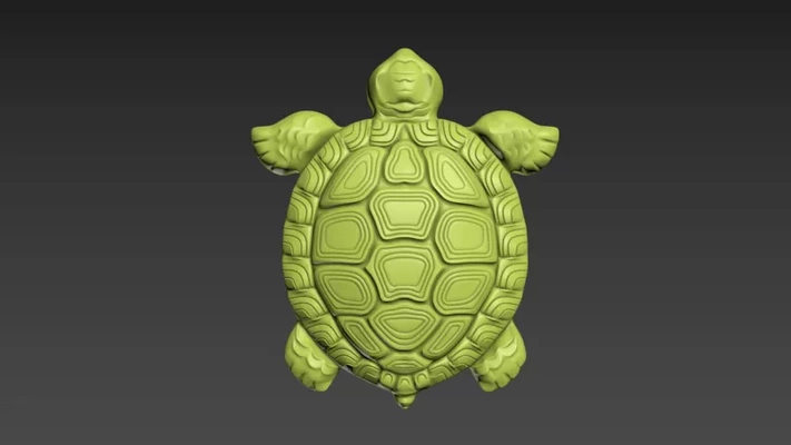 tortue 3d impression modèle trio mots clés soulagement jouet animaux reptile 3d print model - Mito3D