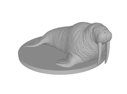walrus 3d printing model 3d print model - Mito3D