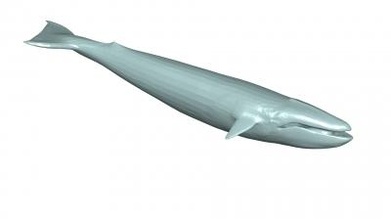 ballena 3d modelo 3D impresión expediente imprimible diseño 3d print model - Mito3D