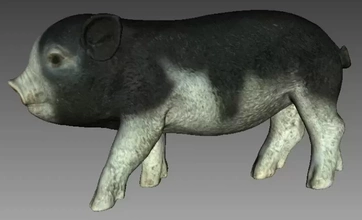 salvaje cerdito 3d impresión modelo trío animal cerdo 3d print model - Mito3D