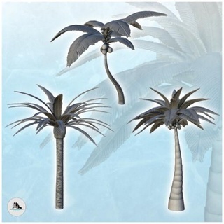 set 3 tropical palm coconut trees - wargaming3d Categories: 1:100 / 15mm, 1:56 28mm, 1:72 & 1:76 20mm, 500-1500: Medieval, DIGITAL STL FILES, Terrain, Terrain accessories age architecture building dark european fantasy game house medieval middle miniatures rose scenery tabletop terrain traditionnal village war wargame miniature wargamming 3d print model - Mito3D