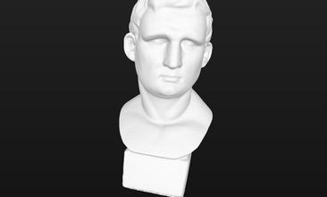 Agripa arte 3d Varredura 3d print model - Mito3D