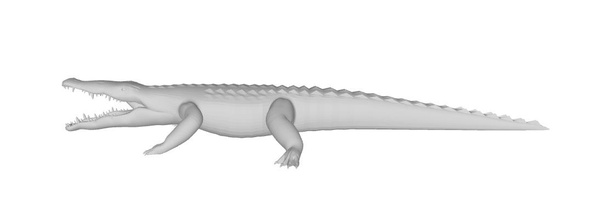 alligatore giocattoli 3d print model - Mito3D