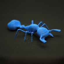 ant - Spielzeug 3d print model - Mito3D