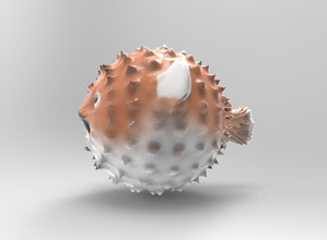 blowfish Kunst Tier Farbe Fisch Ozean Meer 3d print model - Mito3D