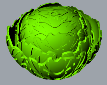 cabbage toys farm 3D print model - Mito3D