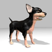 chihuahua cachorros brinquedos dos desenhos animados de cor cão mexicano animal estimação muito 3d print model - Mito3D