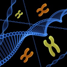 chromosome education dna gene 3d print model - Mito3D