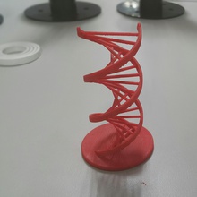 modello di dna l'istruzione il filamento 3d print model - Mito3D