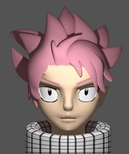 fairy tail natsu dragneel toys anime art colors 3d print model - Mito3D