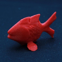 peixe brinquedos 3d print model - Mito3D