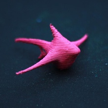fish charm toys 3d print model - Mito3D