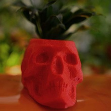 garden pot skull housewares 3d print model - Mito3D