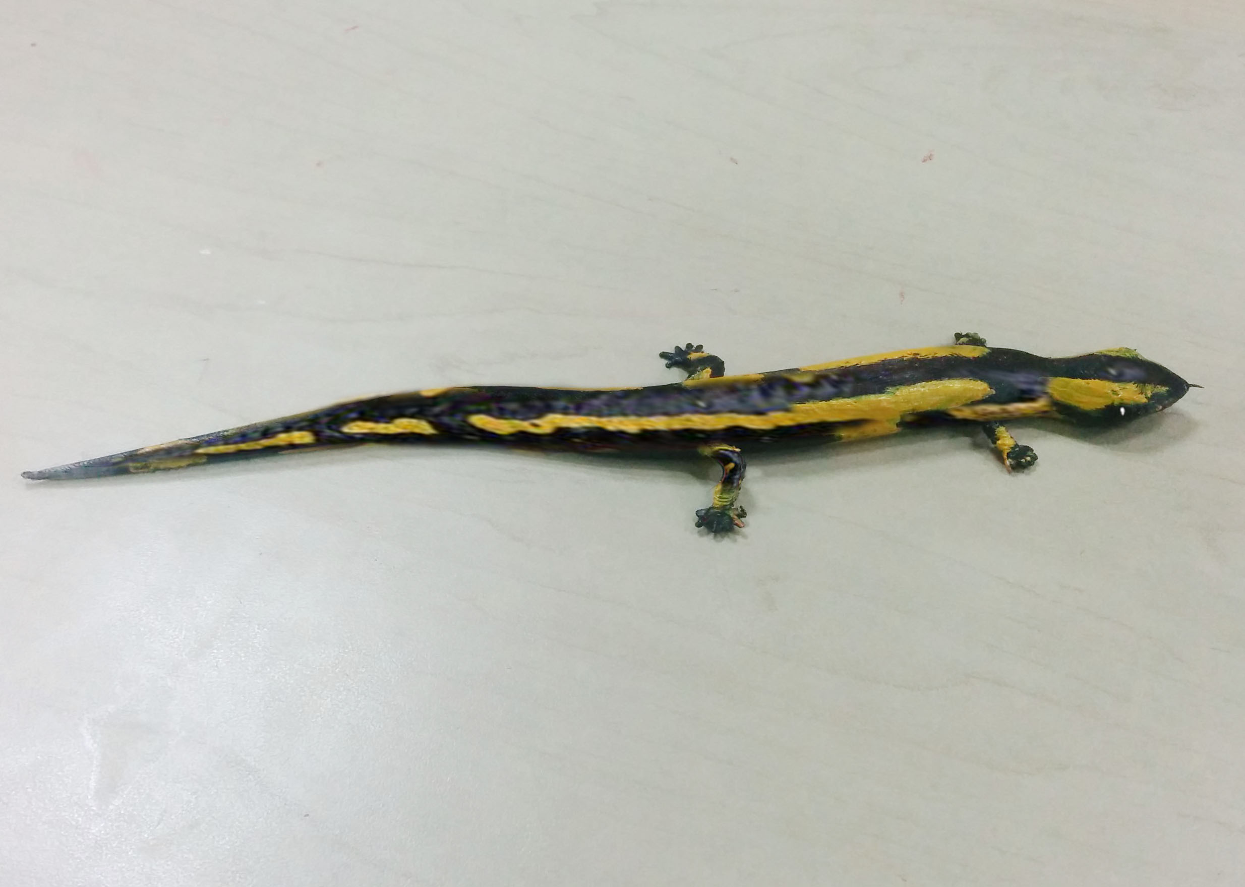 house lizard toys april fool's day fools 3D print model - Mito3D