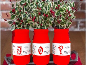 Freude vase display Haushaltswaren Weihnachten Farbe Pflanzer 3d print model - Mito3D