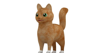 kitty cat i giocattoli colore 3d print model - Mito3D