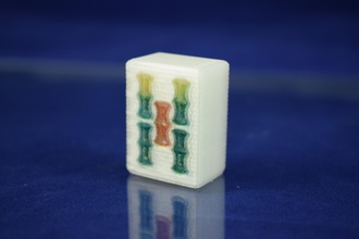 mahjong de bambú 5 los juguetes color juego azulejo 3d print model - Mito3D