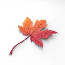 maple leaf 20 mix gradient leaves plants 3d print model - Mito3D