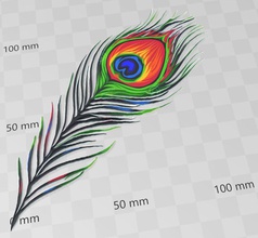 peacock feather fashion colorwithxyz xyzprinting 3d print model - Mito3D