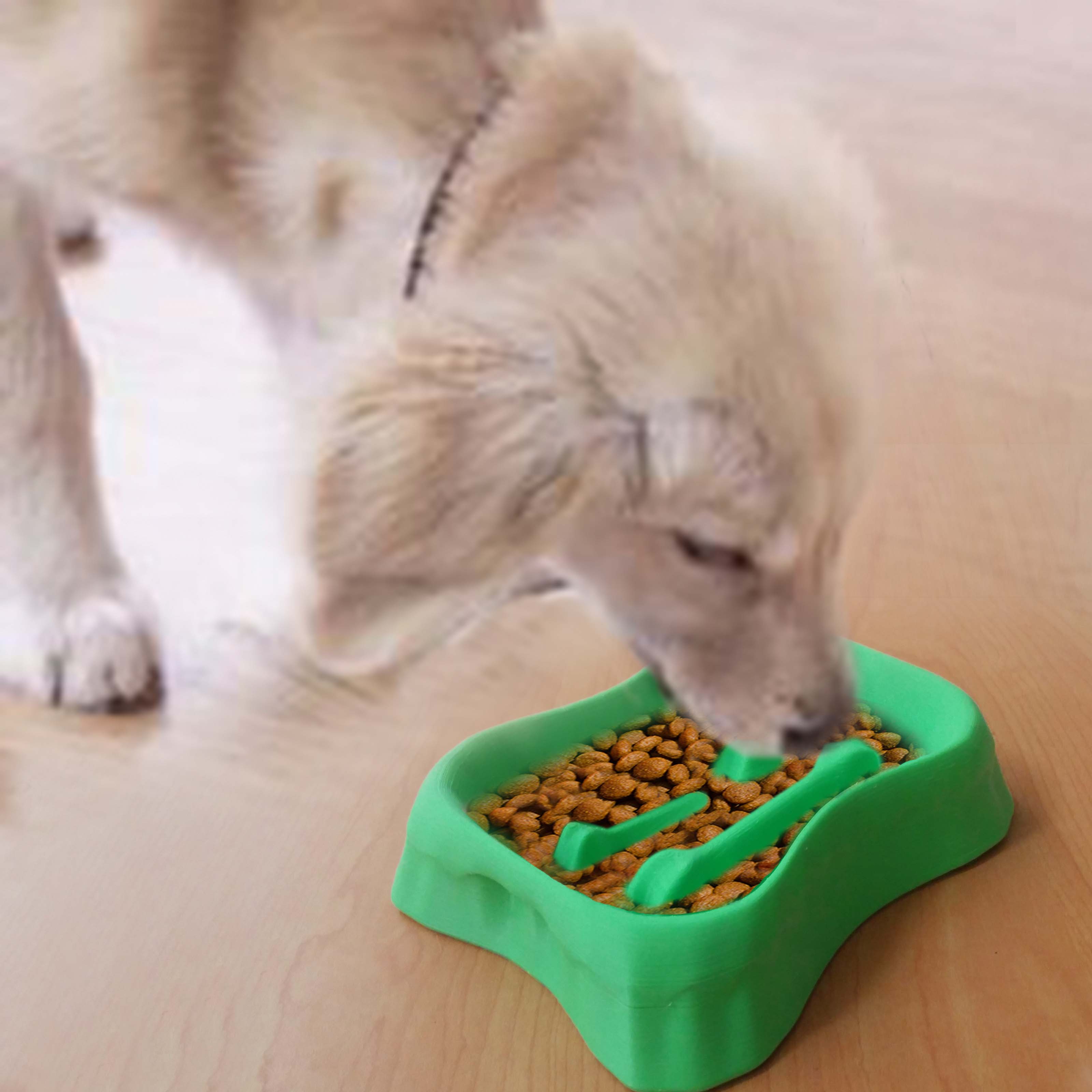 pet dog food bowl housewares bone 3D print model - Mito3D