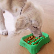 cão de estimação tigela comida utilidades domésticas osso 3d print model - Mito3D