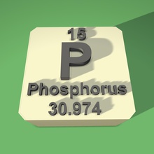 phosphorus periodic table fridge magnet education 3d print model - Mito3D