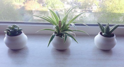 ekici sanat bitki vazo 3d print model - Mito3D