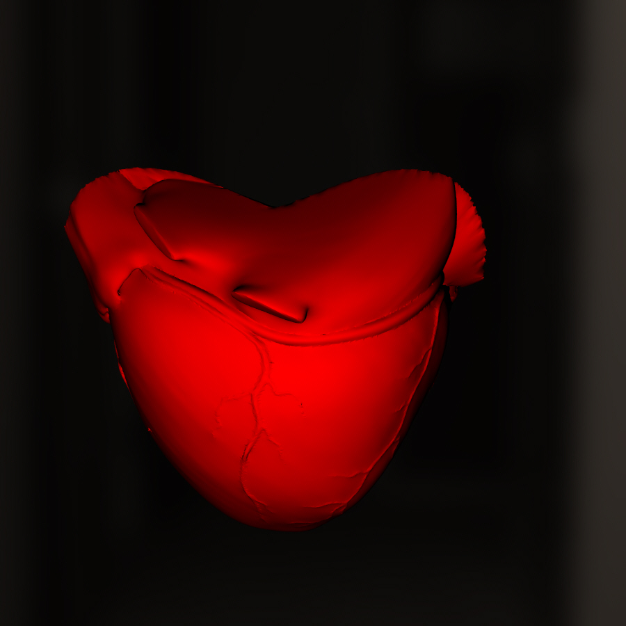 real coração modelado kristoffer narvacano corpo vida branco 3D print model - Mito3D